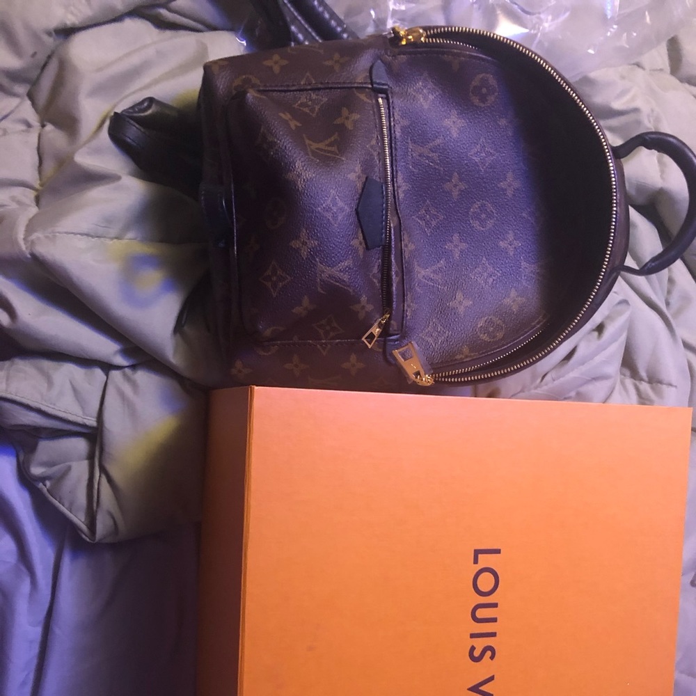 Luis Vuitton Backpack - Picture 2 of 6